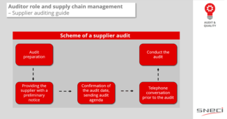 Auditor Role And Supply Chain Management