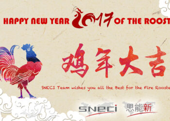 The SNECI Team Wishes You All The Best For The Year Of The Fire Rooster!