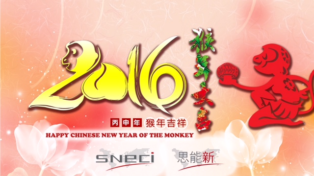 2016 Year Of The Monkey